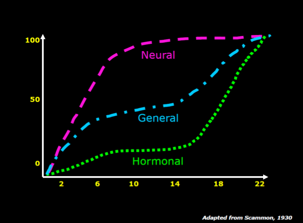 Hockey Development-Physiological Factors