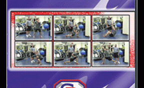 Exercises for the Landmine