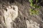 Earthing