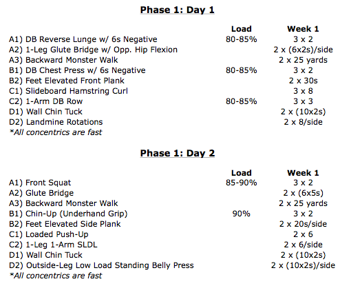 nhl off season workout program