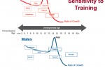 Long-Term Athletic Development-Sensitivity to Training
