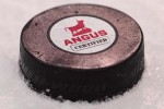 Angus Certified
