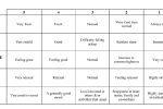 Subjective Questionnaire
