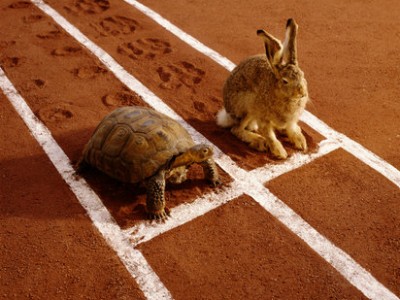 Sports Nutrition Tip: Slow and Steady Wins the Race