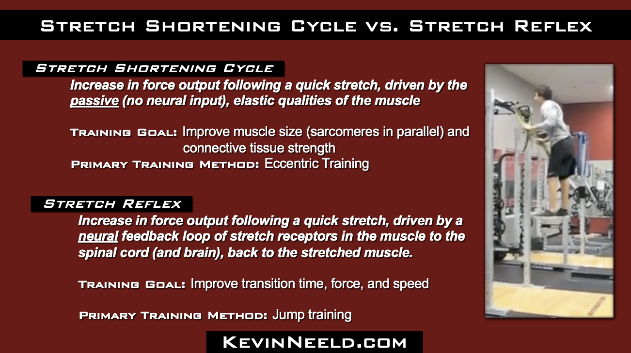 Stretch Shortening Cycle vs. Stretch Reflex