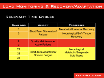 Recovery and Training Adaptation Time Cycles